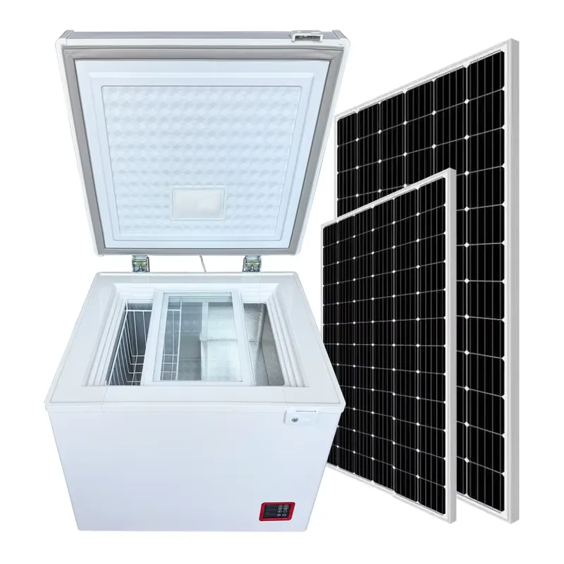 Congelador Horizontal Solar de - Commercial Chest Freezer reseña y precio
